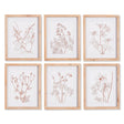 Napa  BOTANICALS IN BLUSH PRINTS, SET OF 6