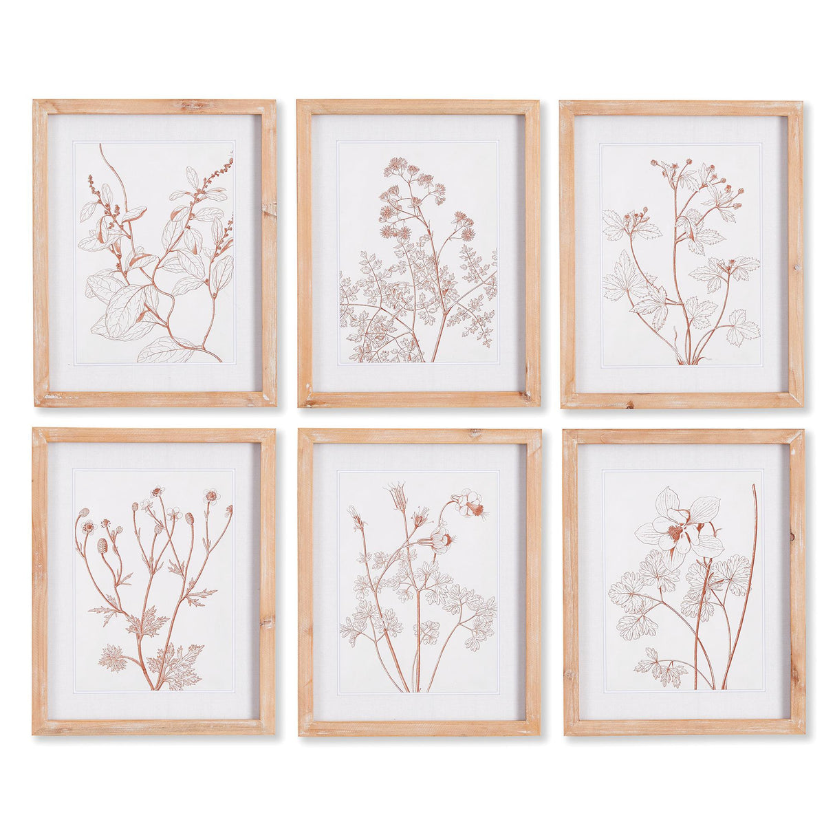 Napa  BOTANICALS IN BLUSH PRINTS, SET OF 6
