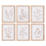 Napa  BOTANICALS IN BLUSH PRINTS, SET OF 6