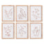 Napa  BOTANICALS IN BLUSH PRINTS, SET OF 6