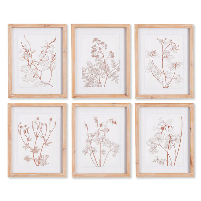 Napa  BOTANICALS IN BLUSH PRINTS, SET OF 6