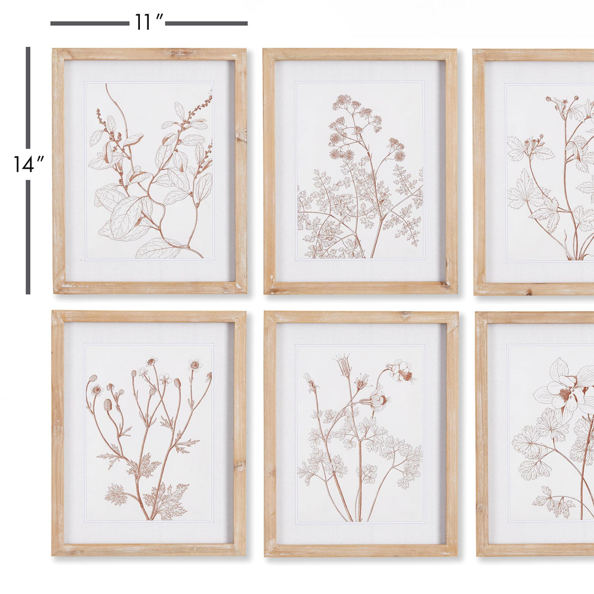 Napa  BOTANICALS IN BLUSH PRINTS, SET OF 6