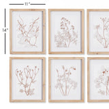 Napa  BOTANICALS IN BLUSH PRINTS, SET OF 6