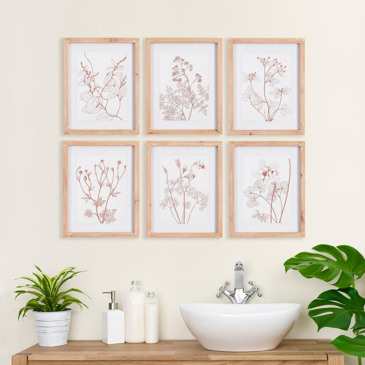 Napa  BOTANICALS IN BLUSH PRINTS, SET OF 6