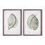 Napa  CORDATE LEAF STUDY, SET OF 2