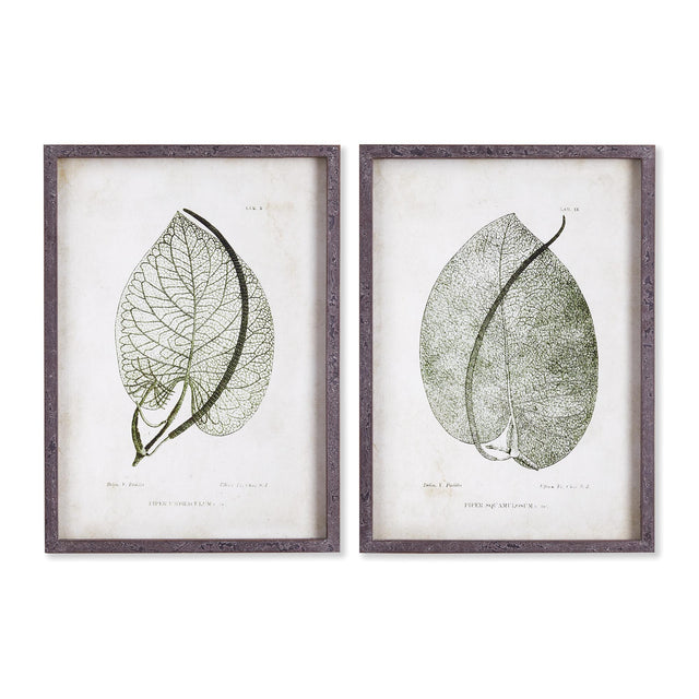 Napa  CORDATE LEAF STUDY, SET OF 2