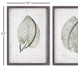 Napa  CORDATE LEAF STUDY, SET OF 2