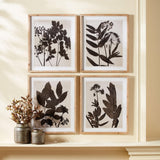 Napa  PRESSED FOLIAGE PRINTS, SET OF 4