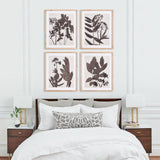 Napa  PRESSED FOLIAGE PRINTS, SET OF 4