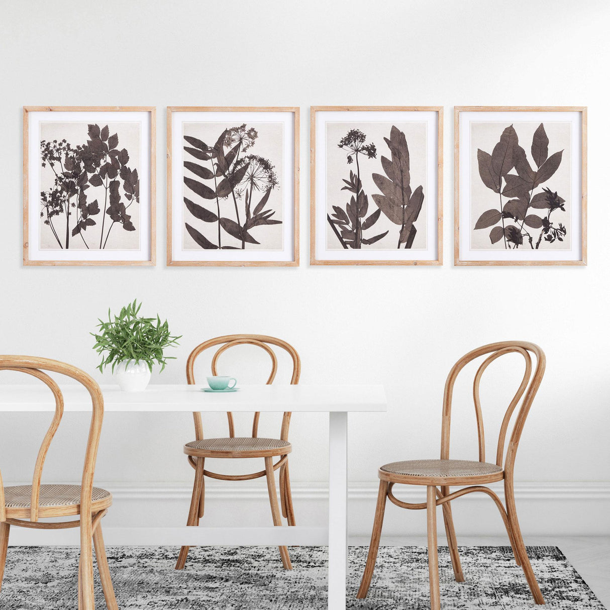 Napa  PRESSED FOLIAGE PRINTS, SET OF 4