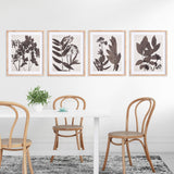 Napa  PRESSED FOLIAGE PRINTS, SET OF 4