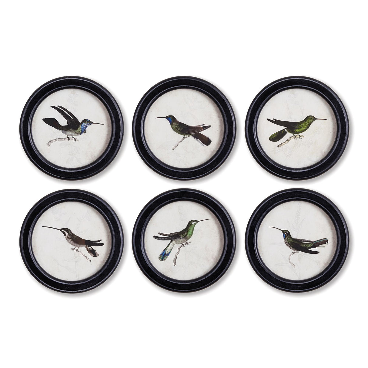 Napa  HUMMINGBIRD ROUND PETITE PRINTS, SET OF 6