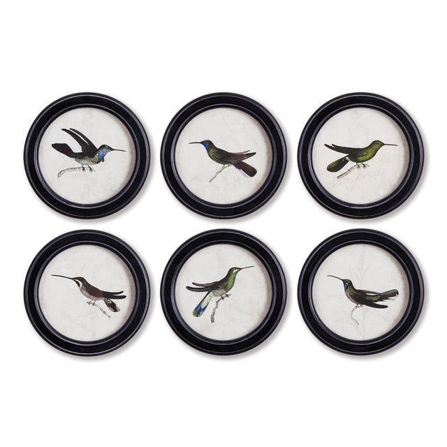 Napa  HUMMINGBIRD ROUND PETITE PRINTS, SET OF 6