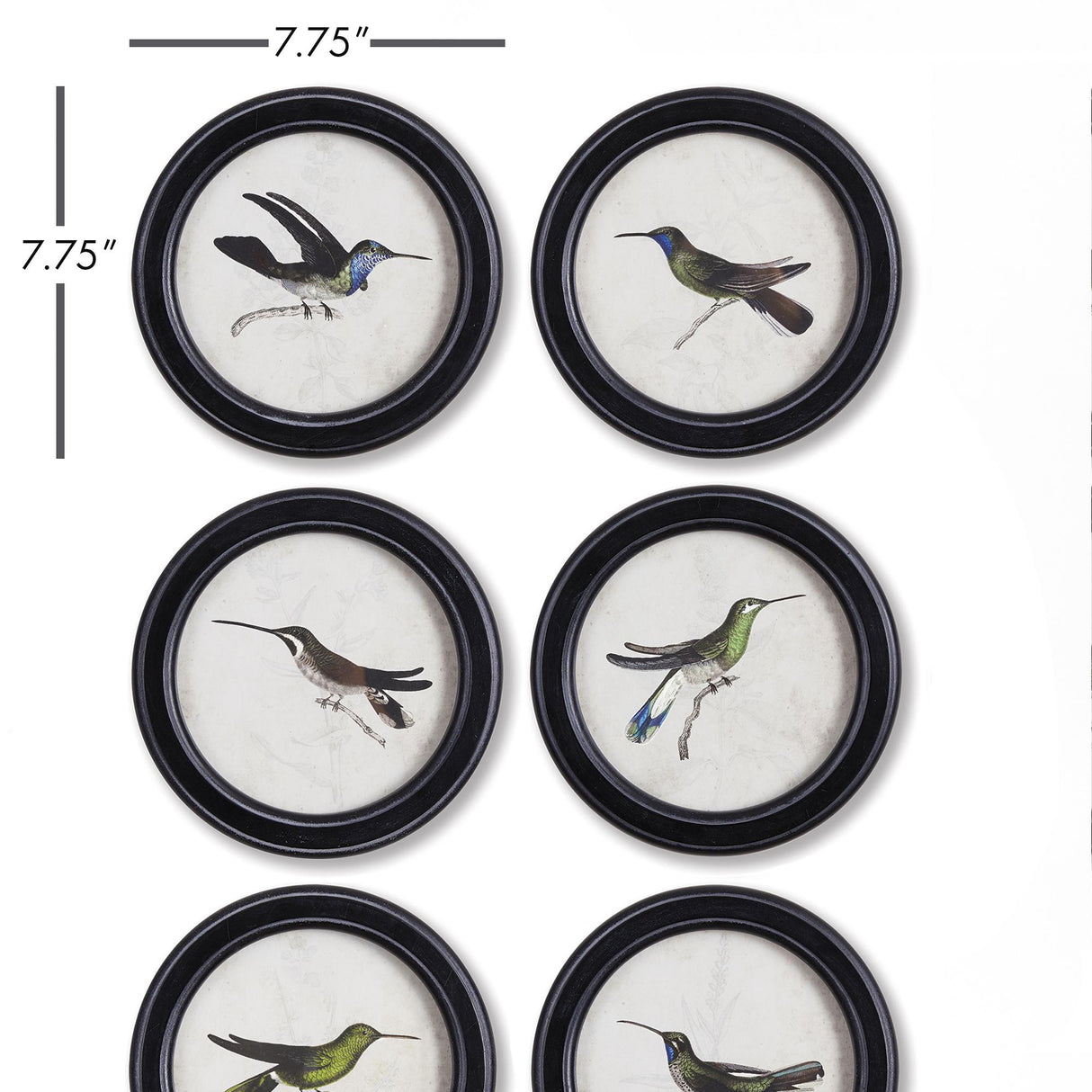 Napa  HUMMINGBIRD ROUND PETITE PRINTS, SET OF 6