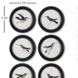 Napa  HUMMINGBIRD ROUND PETITE PRINTS, SET OF 6