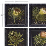Napa  PROTEA PETITE PRINTS, SET OF 4