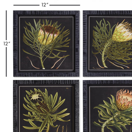 Napa  PROTEA PETITE PRINTS, SET OF 4