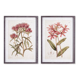 Napa  PRETTY IN PINK VINTAGE PRINTS, SET OF 2