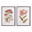 Napa  PRETTY IN PINK VINTAGE PRINTS, SET OF 2
