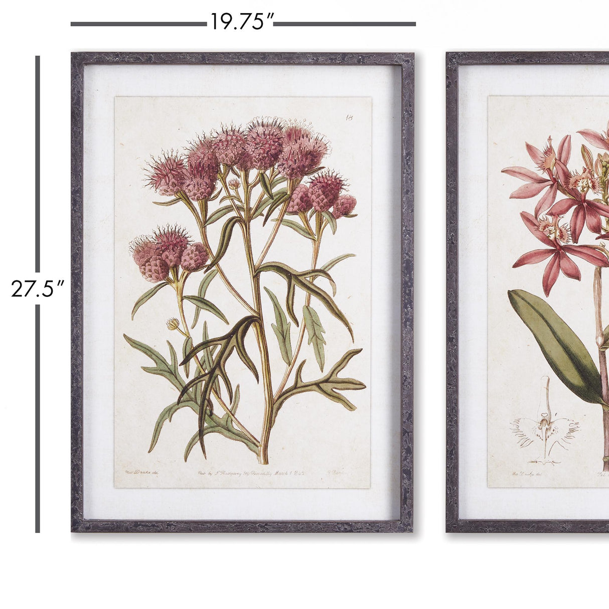 Napa  PRETTY IN PINK VINTAGE PRINTS, SET OF 2
