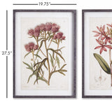 Napa  PRETTY IN PINK VINTAGE PRINTS, SET OF 2