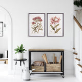 Napa  PRETTY IN PINK VINTAGE PRINTS, SET OF 2