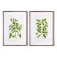 Napa Includes mat GUAVA PRINTS, SET OF 2