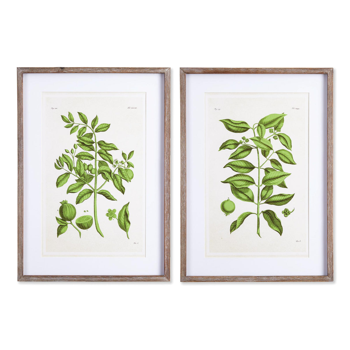 Napa Includes mat GUAVA PRINTS, SET OF 2