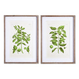Napa Includes mat GUAVA PRINTS, SET OF 2