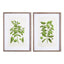 Napa Includes mat GUAVA PRINTS, SET OF 2