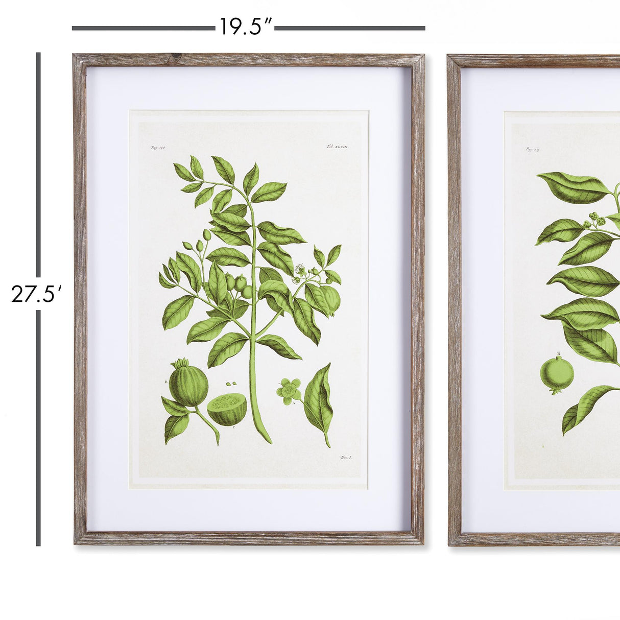 Napa Includes mat GUAVA PRINTS, SET OF 2