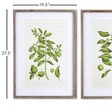 Napa Includes mat GUAVA PRINTS, SET OF 2