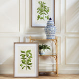 Napa Includes mat GUAVA PRINTS, SET OF 2