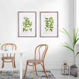 Napa Includes mat GUAVA PRINTS, SET OF 2
