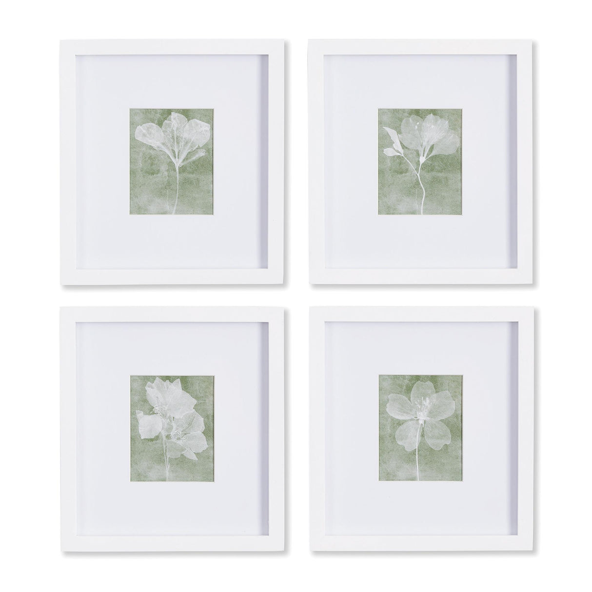 Napa Includes mat TRANSLUCENT FLORAL PETITE PRINTS, SET OF 4