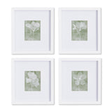 Napa Includes mat TRANSLUCENT FLORAL PETITE PRINTS, SET OF 4