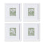 Napa Includes mat TRANSLUCENT FLORAL PETITE PRINTS, SET OF 4
