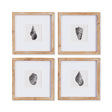 Napa Includes mat SEASHELL PETITE PRINTS, SET OF 4
