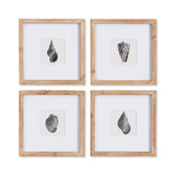 Napa Includes mat SEASHELL PETITE PRINTS, SET OF 4