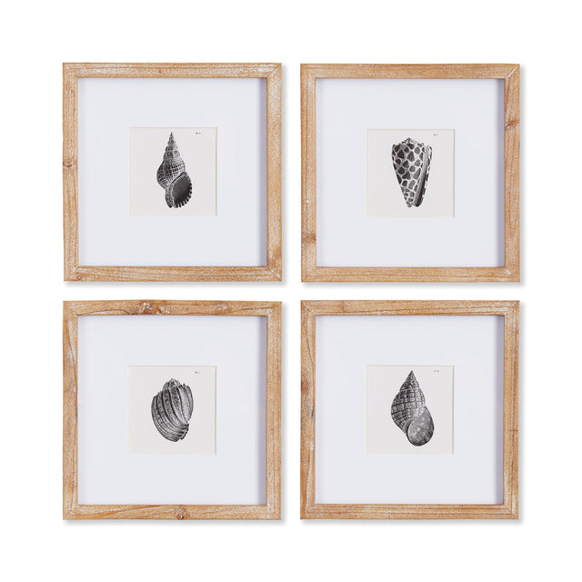 Napa Includes mat SEASHELL PETITE PRINTS, SET OF 4