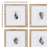 Napa Includes mat SEASHELL PETITE PRINTS, SET OF 4