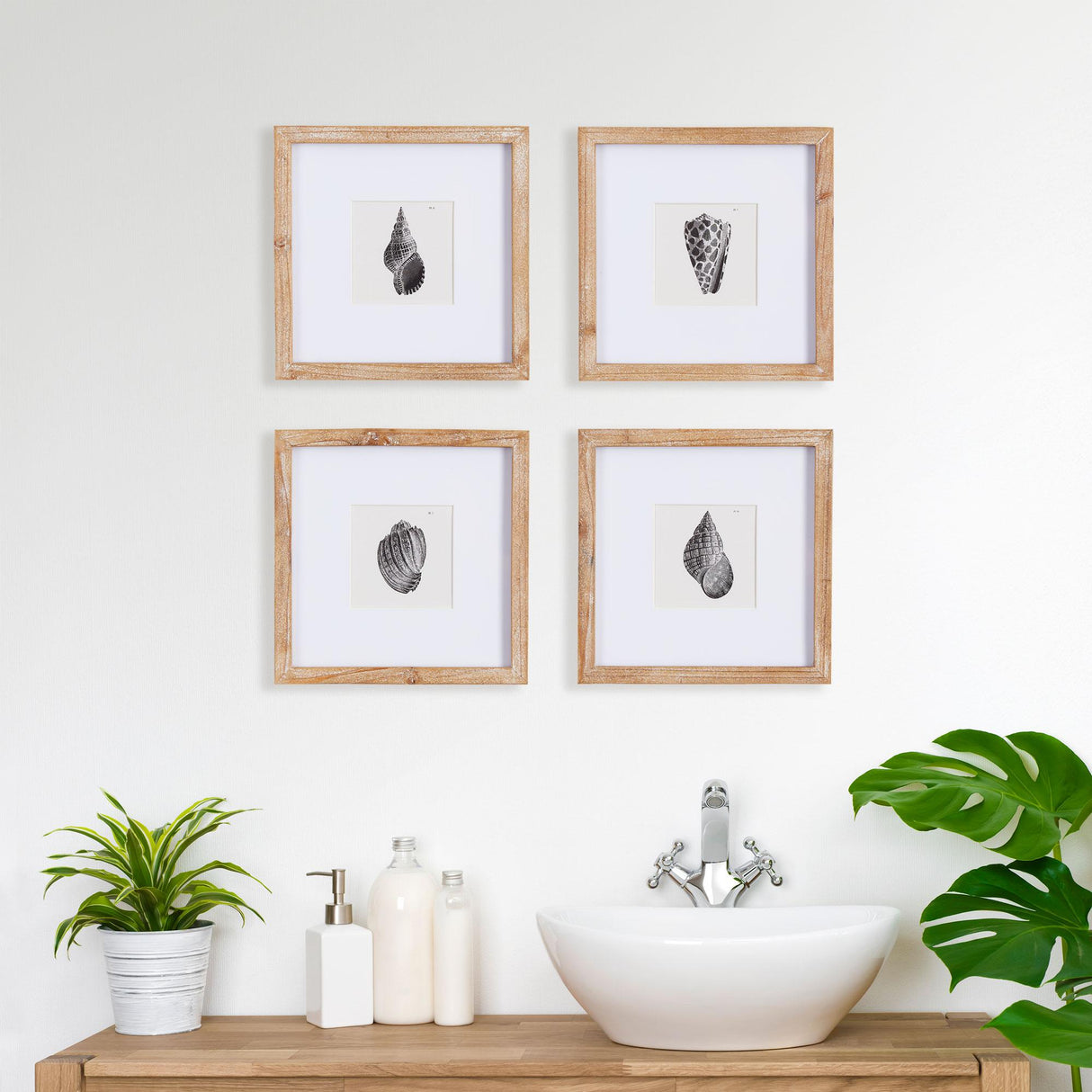 Napa Includes mat SEASHELL PETITE PRINTS, SET OF 4