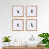 Napa Includes mat SEASHELL PETITE PRINTS, SET OF 4