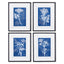 Napa Includes mat CYANOTYPE QUEEN ANNES LACE PRINTS, SET OF 4