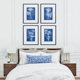 Napa Includes mat CYANOTYPE QUEEN ANNES LACE PRINTS, SET OF 4