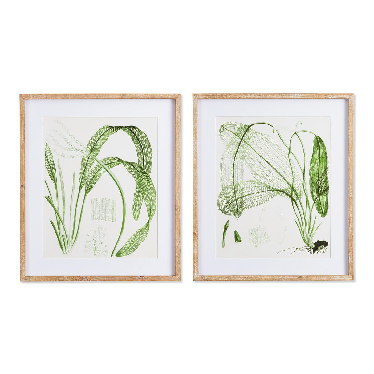 Napa Includes mat AQUATIC LEAF PRINTS, SET OF 2