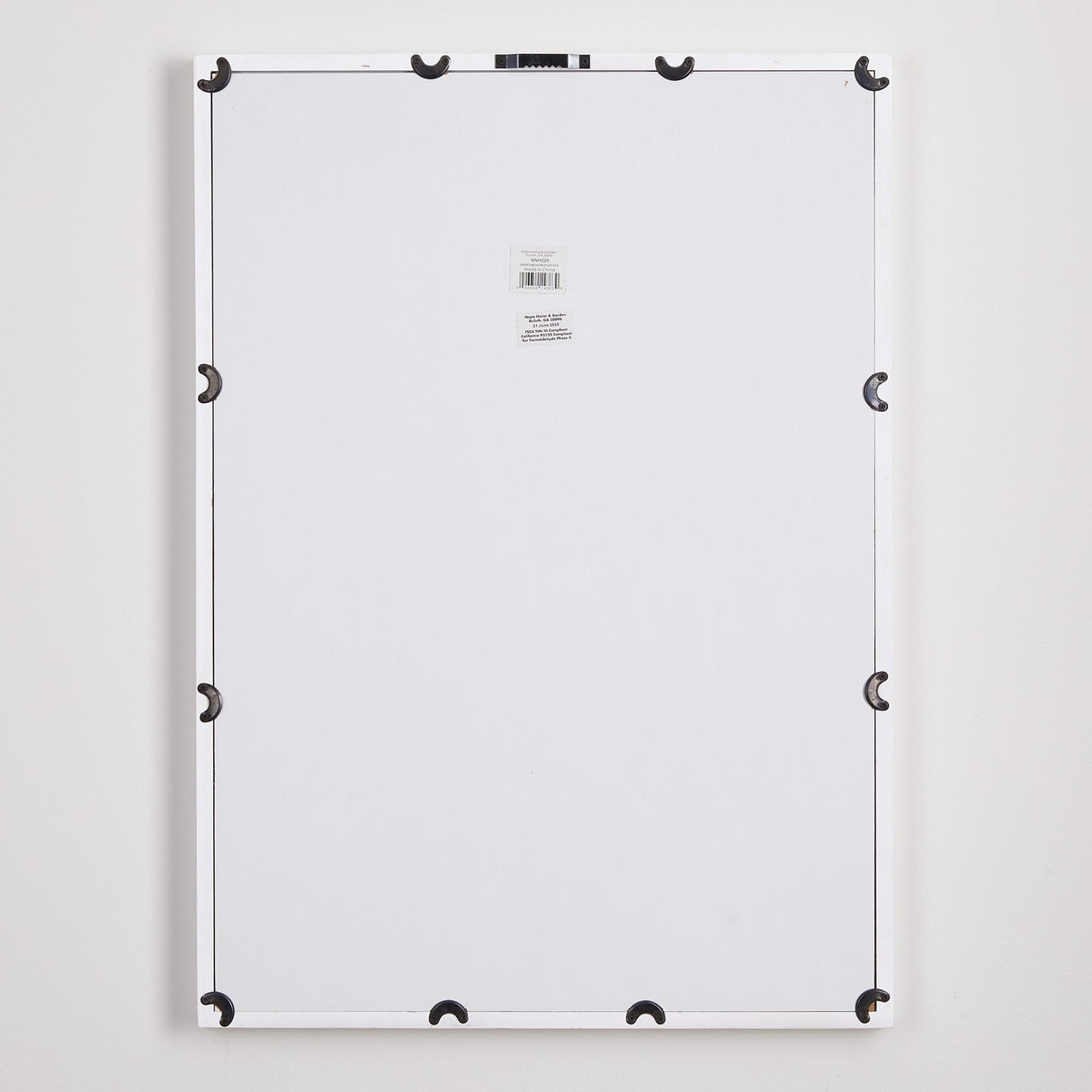 Napa Includes mat DAISY PRINTS, SET OF 4