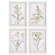 Napa Includes mat DAISY PRINTS, SET OF 4