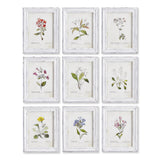 Napa  GARDEN MEADOW STUDY, SET OF 9