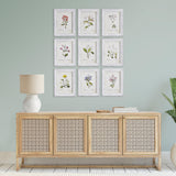 Napa  GARDEN MEADOW STUDY, SET OF 9
